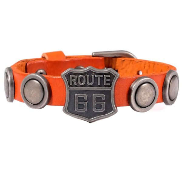 Pulsera de cuero marrón Ruta 66 - Country and Roses - Arpin - 1