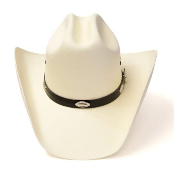 Sombrero Rodeo - Imagen 2
