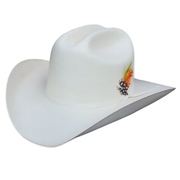 Sombrero Arizona