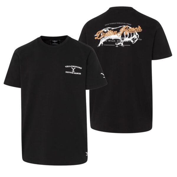 Camiseta country - Country and Rose - So Angry black - 2